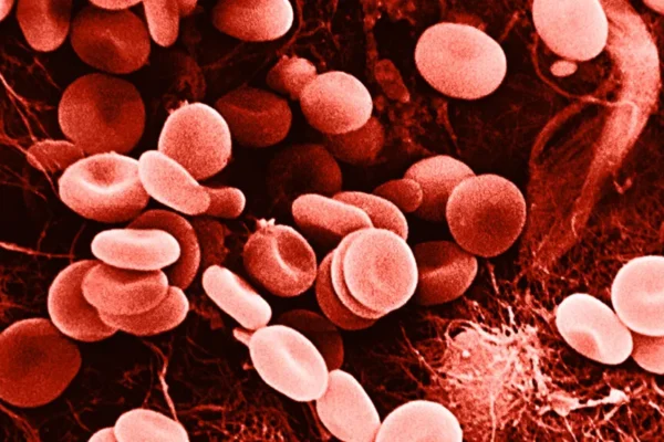 How to Calculate Your RBC lifespan?